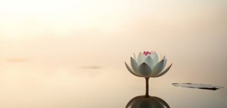 Yoga Nidra: O Caminho para o Relaxamento Profundo