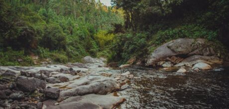 destinos na natureza para desconectar do celular e relaxar